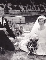 Elizabeth Mulholland