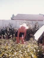 Elizabeth Mulholland